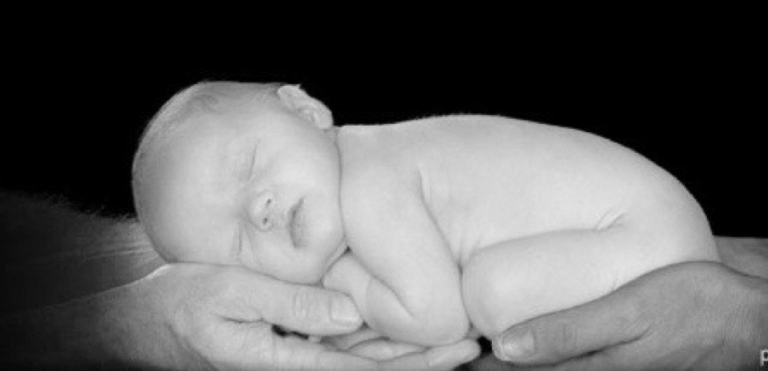 Three Scenarios of the World Your Grandchildren Will Inherit  